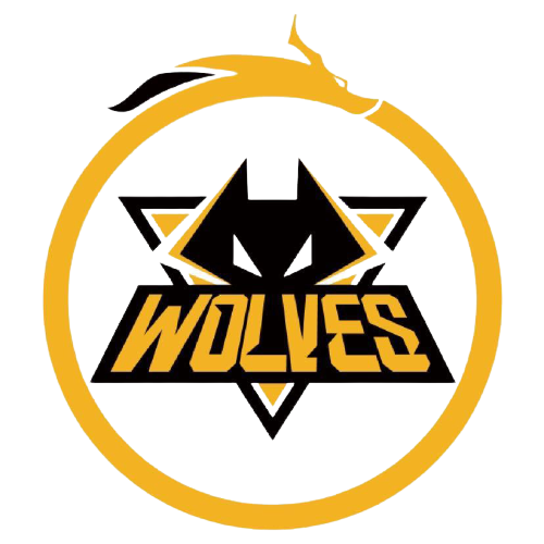 年轻力量的 年轻力量的